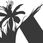 komodo.media icon