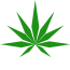 konoplisemena.com icon