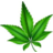 konopna-mast.eu icon