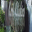 koolklickins.com icon