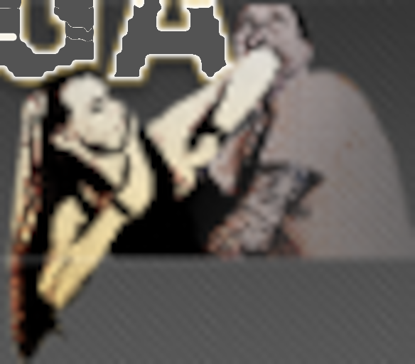 krav-maga-in-berlin.de icon