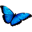 kuva.com icon