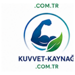 kuvvet-kaynagi.com.tr icon