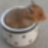 labelerrors.com icon