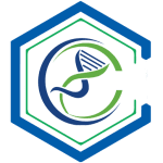 laboratoriodediagnosticoclinico.com icon