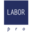 laborprosrl.com icon