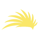 lacanau-pro.com icon