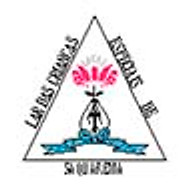laces.org.br logo
