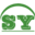 laceycapitalpartners.com icon