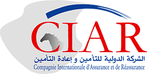 laciar.com icon