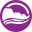 lacrosseareafoundation.org icon