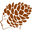 ladypinecone.com icon