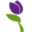 laflora.pl icon