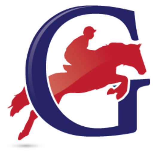 lagosniere.fr icon