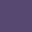 lain.network icon