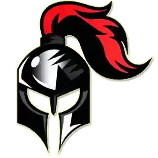lainmaculada.com icon
