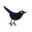 lakeapopkawildlife.us icon