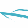 lakeozarkboatdealers.com icon