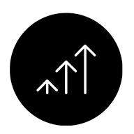 Laminar™ Strategy Execution Software