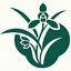 lan.org.cn icon