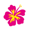 lanikaiislandresort.com icon