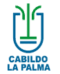 lapalmaaguas.com icon
