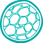 lapedrerabuzios.com.br icon