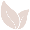 Favicon lapiola.be