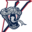 lasallevipers.com icon