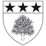 lasalvetat31.fr icon