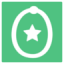 lasso.net logo