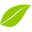 laurapetraglia.com icon