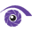 lavender.edu.vn icon