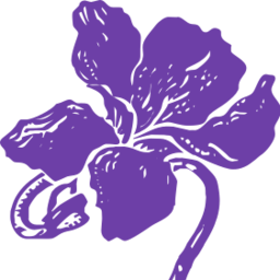 lavioletaonline.es icon