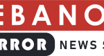 lbmirror.com icon