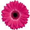 lcbw.org icon