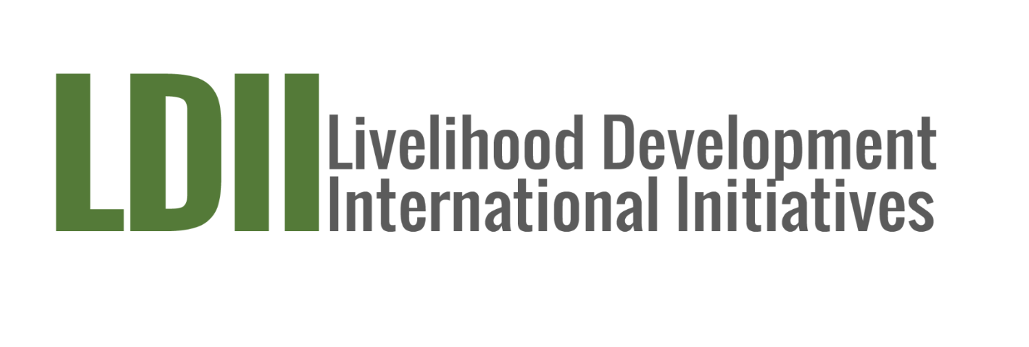 ldiinitiatives.org icon