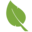leafield-environmental.com icon