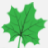 leafsolution.com icon
