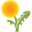 learningherbs.com icon
