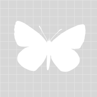 learntobloghangouts.com icon