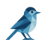 learnwagtail.com icon