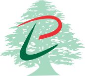 lebapedia.com icon