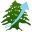 lebeconomy.com icon
