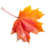 ledeuil.ca icon