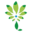 legal-amazonia.org icon