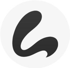 lehse.com icon