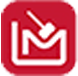 leilomaster.net icon