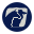 leilonorte.com icon