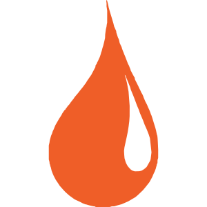 leinoelpro.de icon